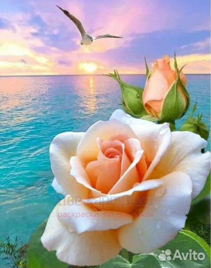 Алмазная мозаика 30x40 Чайная роза на фоне