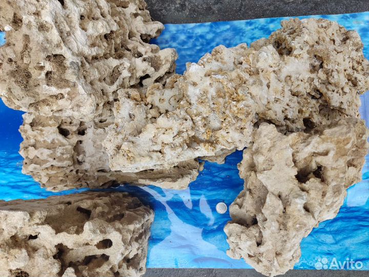 Камень песчанник