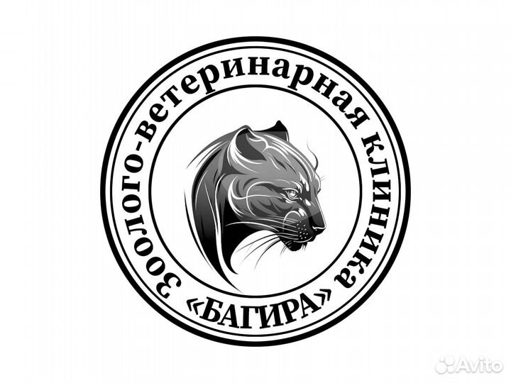 Администратор ветеринарной клиники