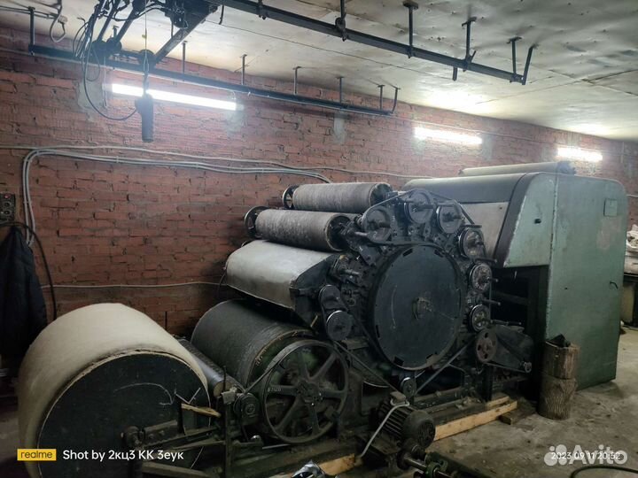 Шерстабитка