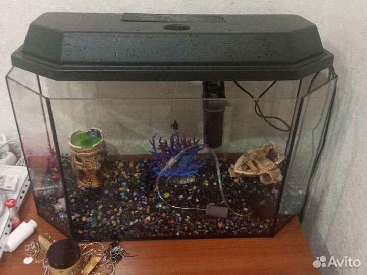 Аквариум