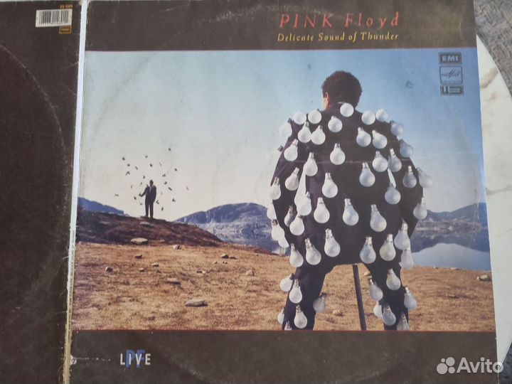 Pink Floyd Delicate Sound of Thunder