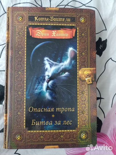 Коты воители