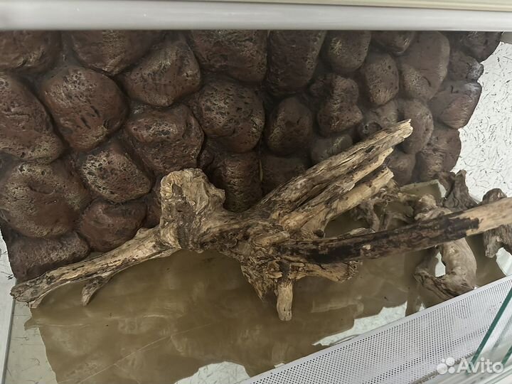 Террариум для рептилий