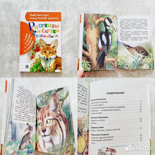 Детские книги: Библиотека начальной школы (5шт)