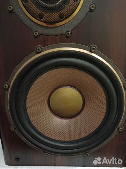 Акустика Diatone DS 2000