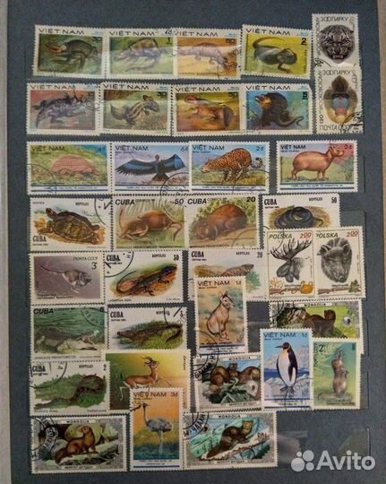 Альбом с советскими марками