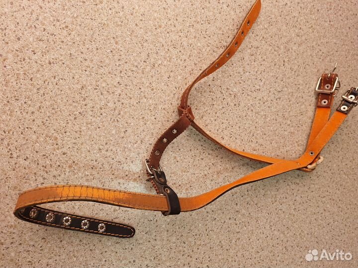 Шлейка кожаная новая