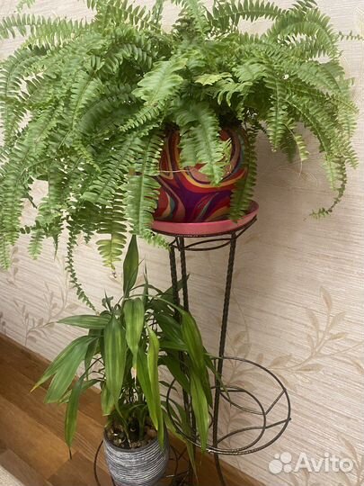 Кашпо для цветов напольное