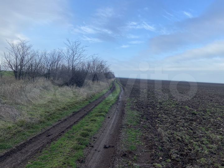 Участок 2,15 га (СНТ, ДНП)