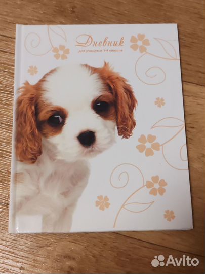 Дневник школьный