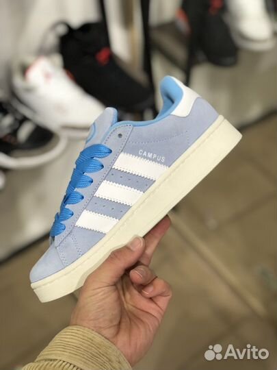 Adidas Campus blue