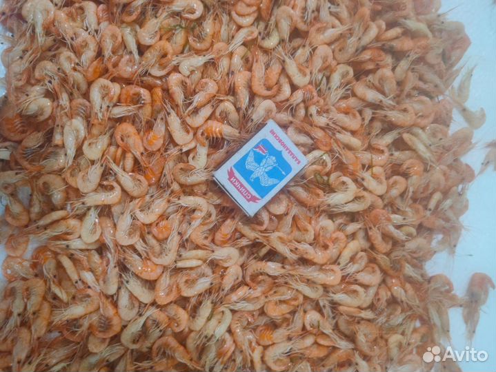 Креветка Азовская Свежемороженая 2-3 см