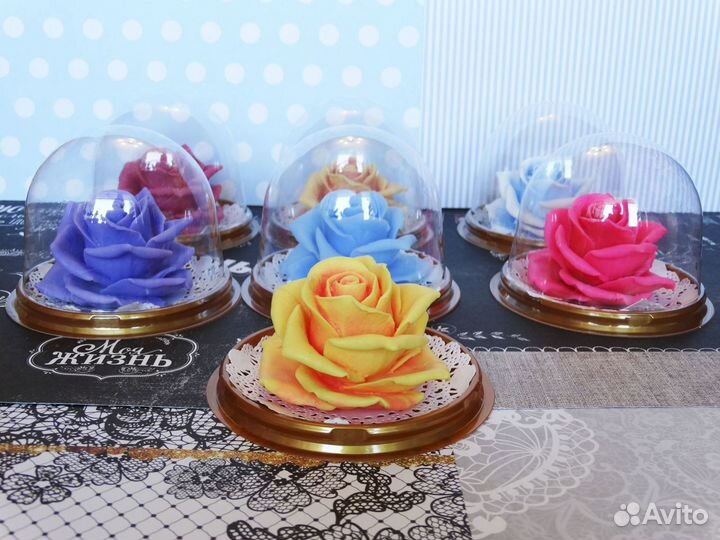 Роза в куполе