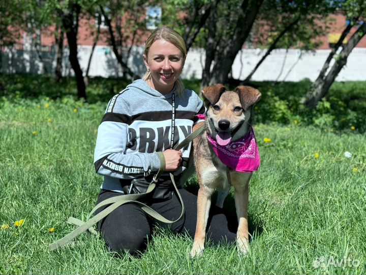 Молодая Найдочка попала в приют- ждет родителей