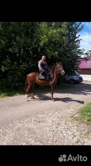 Чернозем,Навоз, Стройматериалы