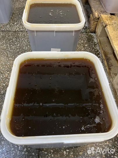 Натуральный мёд дягиль 2023 г. Опт