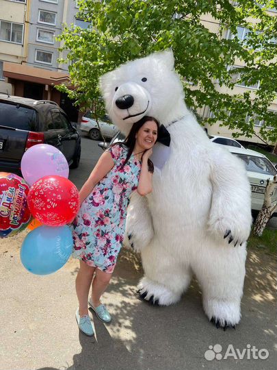 Поздравление от белого медведя