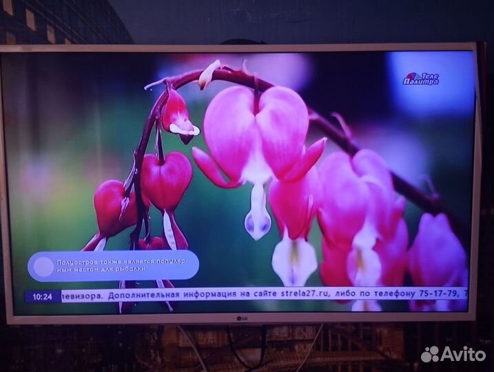 Телевизор SMART tv 43 бу