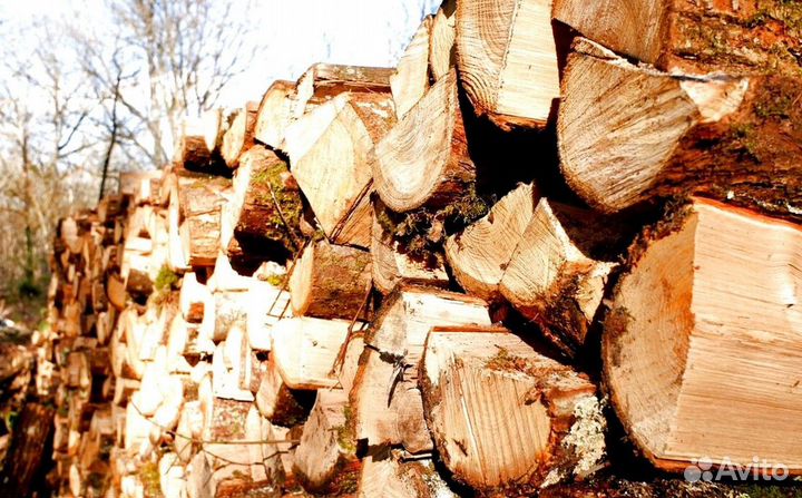Дрова для камина