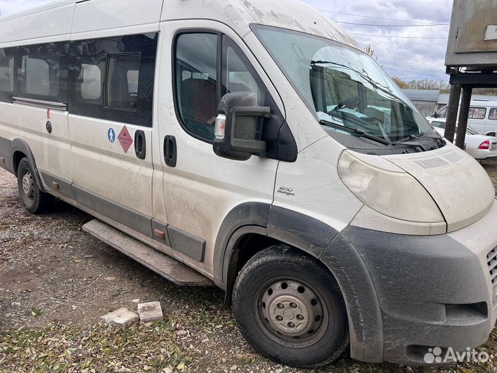 Городской автобус FIAT Ducato, 2013