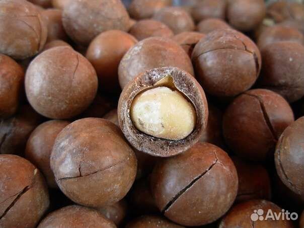 Макадамия орех