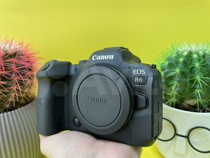 Canon EOS R6 пробег 300 кадров