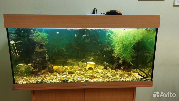 Аквариум