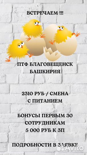 Рабочий на птицефабрику/вахта/питание/проживание