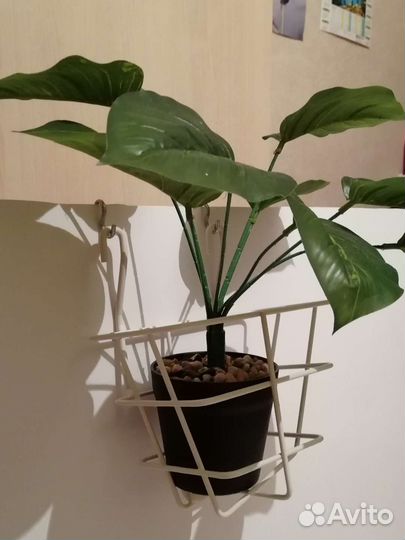 Кашпо для цветов