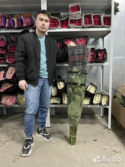 Роза без посредников от 15 шт с доставкой