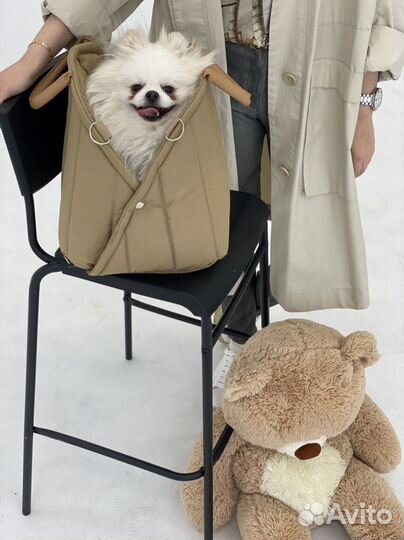 Автокресло переноска автогамак для животных