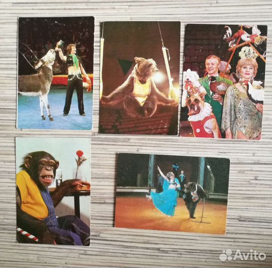 Календари карманные 