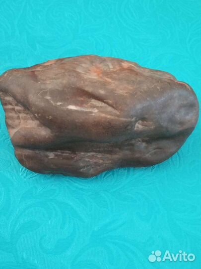 Доисторическая окаменелость