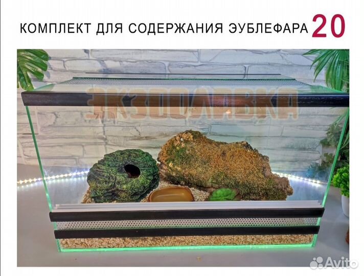 Террариумы с наполнением для рептилий, пауков