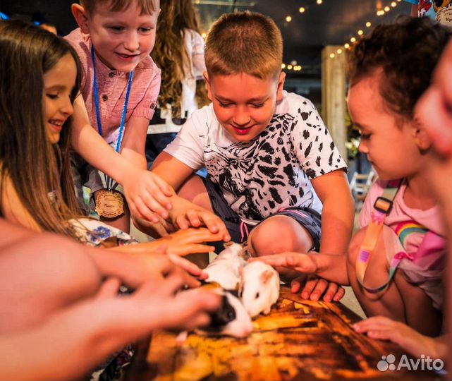 Фокусник иллюзионист с животными