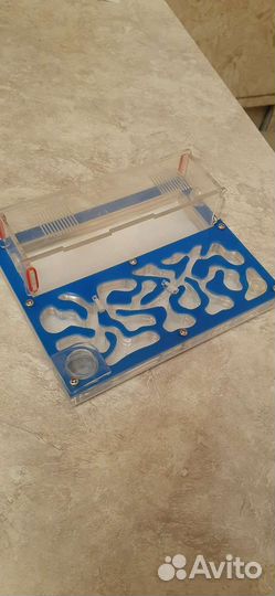 Муравьиная ферма