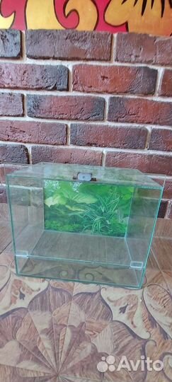 Аквариум; Террариум