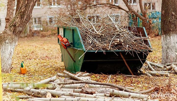 Вывоз веток и спиленных деревьев