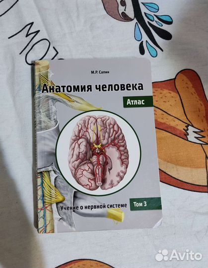 Анатомия человека. Алас. 3 том Сапин М.Р