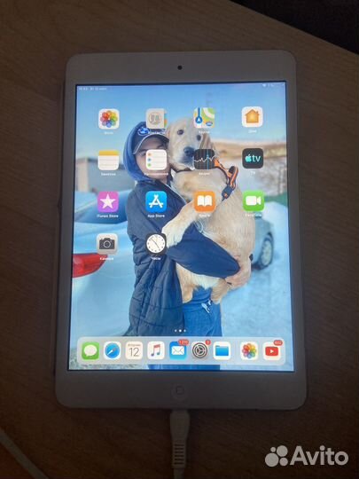 iPad mini 2