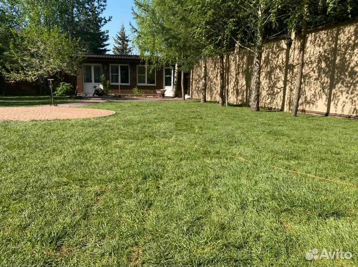 Рулонный газон от производителя