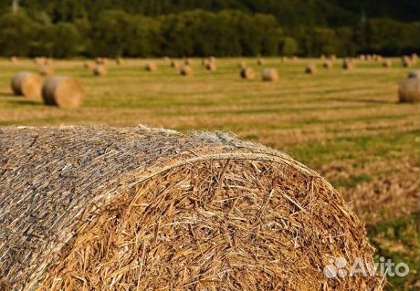 Сено-вязальная сетка 1,23м Agromaster