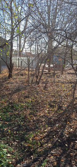 Участок 20 сот. (ИЖС)