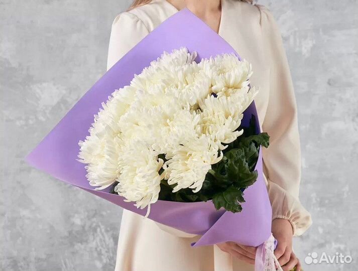 Хризантема одноголовая