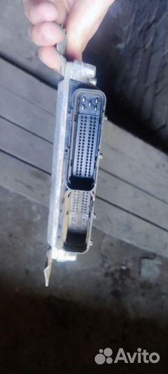 Мозги на газель