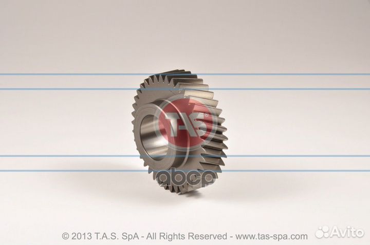 Шестерня, ZF 1316303004 'T19548 TAS Spa