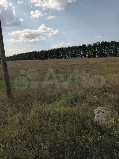 Участок 18 сот. (ИЖС)