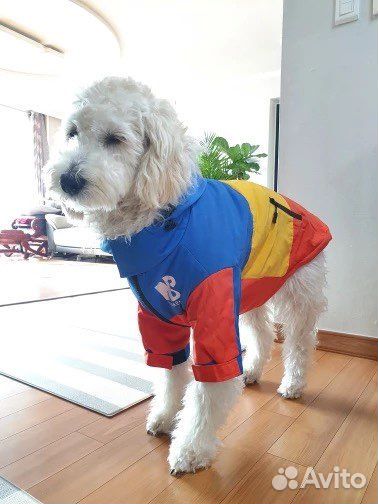 Куртка утепленная для собак (новая)