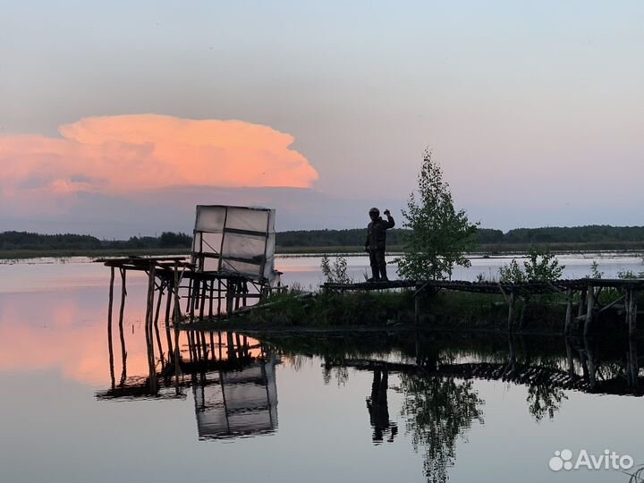 Прокат квадроциклов, питбайков